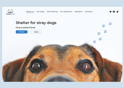 Shelter for stray Dog - Landing Page app design inspiration mobile pets shelter ui ux