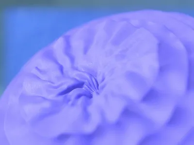 Fabric Flower 3d 3dart abstract animation art blender blendercommunity branding design dribbble graphic design icon illustration motion graphics render soft ui