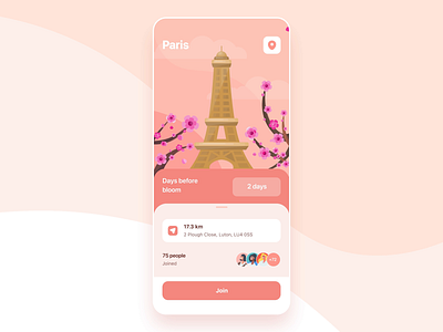 Sakura Tracker mobile app animation blossom calendar cherry blossom cherry blossom tracker flowers illustration mobile paris sakura sakura tracker tracker tracking ui zoftify