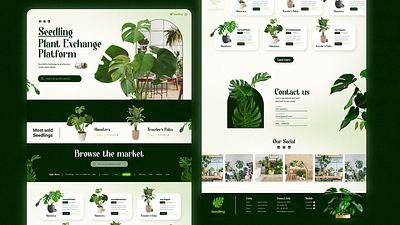 Seedling | Plant Exchange Platform Project + Branding app art branding commerce design exchange graphic design green growth illustration illustrations logo monstera palm plants seeds ui ux vector website