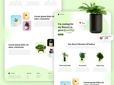 🪴Pot Flower Website Concept Design best blossom bonsai clean creative design flowers good green hydroponics landing page minimal nature nice plantation plants pot tree web website
