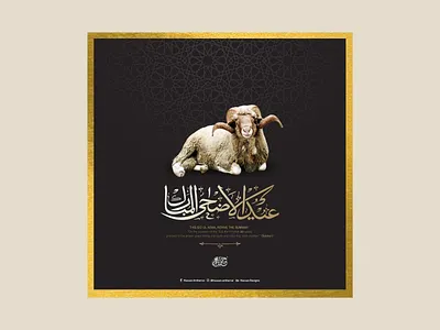 Eid Design for social media arabic branding calligraphy and lettering artist design eid graphic design illustration logo typography design
