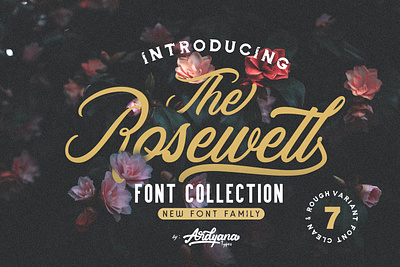 Rosewell Display Font advertising branding classy display display font elegant fashion fonts lettering logo luxury magazine minimalist modern sans serif serif stylish typeface typography uique