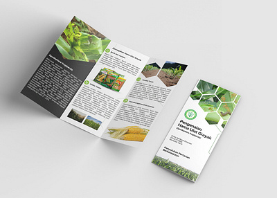 Agricultural Tri-fold Brochure presentation template trifold