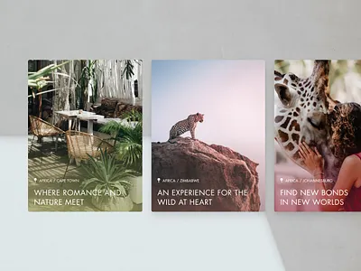 Indagare Responsive Elements cards content design digital elements interaction interface luxury travel ui ux web web design