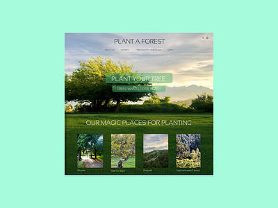 Crowdfunding Campaign branding crowdfunding campaign daily ui challenge design graphic design plant the forest plant the tree ui ux uxui design