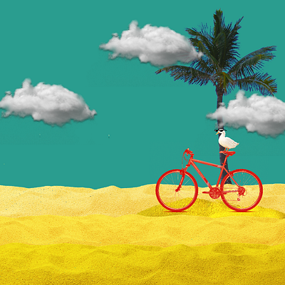 Ducycle 2d adobe art duck photoshop