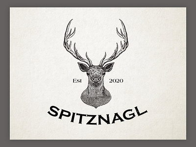 Vintage aesthetic antler logo design! branding classic custom type design etching hatching illustration illustrator line art logo logo design old fashion sketch vector vintage vintage design vintage illustration vintage logo vintage aesthetic woodcut