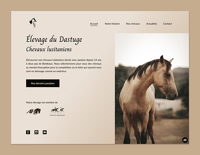 Website redesign for a Lusitano Horse Breeder design figma homepage horse horse breeder horse breeding horses lusitano redesign ui ui design ux ux design ux ui web web design webdesign website website redesign