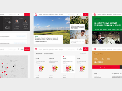 LG Seeds - New Website agriculture clean design digital brand e commerce farming graphic design map products seeds ui ux web web design website