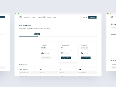Pricing Plan Site design features plan pricing product product design slider ui unsers user interface ux widget
