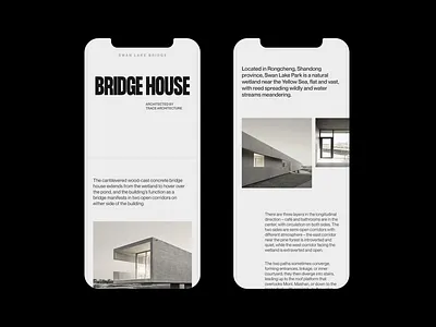 Bridge House - Mobile animation branding design em idea inspiration minimal moonlight typography ui ux web website