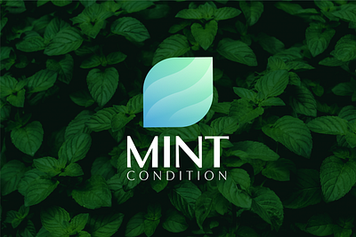 MINT Condition - Logo Design aryan brand identity branding concept condition design designer gradient hair inspiration logo maker mint modern saloon spa vector