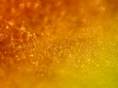 Watermelon Pulp extreme juice macro macrophotography nicolas delille photography pulp shooting shot studio watermelon