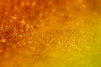 Watermelon Pulp extreme juice macro macrophotography nicolas delille photography pulp shooting shot studio watermelon