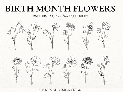 Detailed Birth Flowers Set 1 birth flower tattoo birth month flwoer flower svg