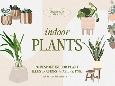 Indoor Plants Illustration Collection 2d plants adobe adobe illustrator adobe indesign boho plants digital asset digital illustration graphic design illustration indoor plants plants pot plants potted plants procreate vector vector art