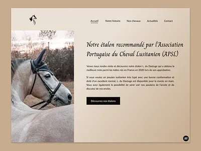 Website redesign for a Lusitano horse breeder - Part 2 design figma homepage horse horse breeder horse breeding horses lusitano redesign ui ui design ux ux design ux ui web web design webdesign website