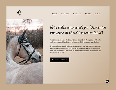 Website redesign for a Lusitano horse breeder - Part 2 design figma homepage horse horse breeder horse breeding horses lusitano redesign ui ui design ux ux design ux ui web web design webdesign website