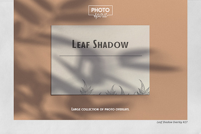 Leaf Shadow Overlays actions branch design effect effects image organic overlay overlays photo photoshop shadow shadows summer textures tree