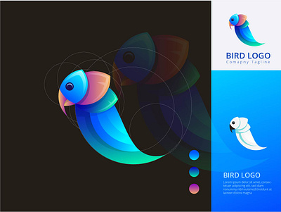 Bird gradient modern logo abstract animal logo artwork bird logo brand identity branding design design art drowning gradient logo graphic design illustration illustrator logo modern logo parrot parrot logo ui vector art