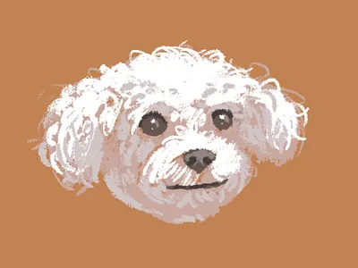 Fluffball Roxy roughs