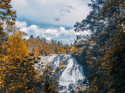 Pisgah National Forest, North Carolina | Davron Bowman colorado landscape photographers davron bowman forest in the fall landscape photography north carolina photo photos from us roadtrips pic pics pisgah national forest roadtrips us roadtrips wanderlust waterfall waterfall scene