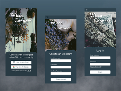 Wicca Connect, Sign Up and Log In page design 001 dailyui design log in sign up sketch ui wicca