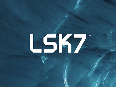 LSK7 3d animation branding design graphic design illustration logo motion graphics typography ui ux vector
