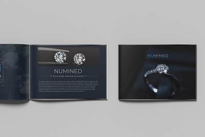 Numined brochure #2 bookdesign bookletdesign branding brochure design graphic design illustrator logo magazine photoshop