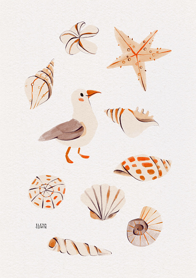 Gouache Painting of Sea Shells beach flower beach illustration beach painting by the sea colored pencil gouache painting plumeria flower sea illustration seagull seagull illustration seagull painting shell illustration shells shells painting textured brush strokes