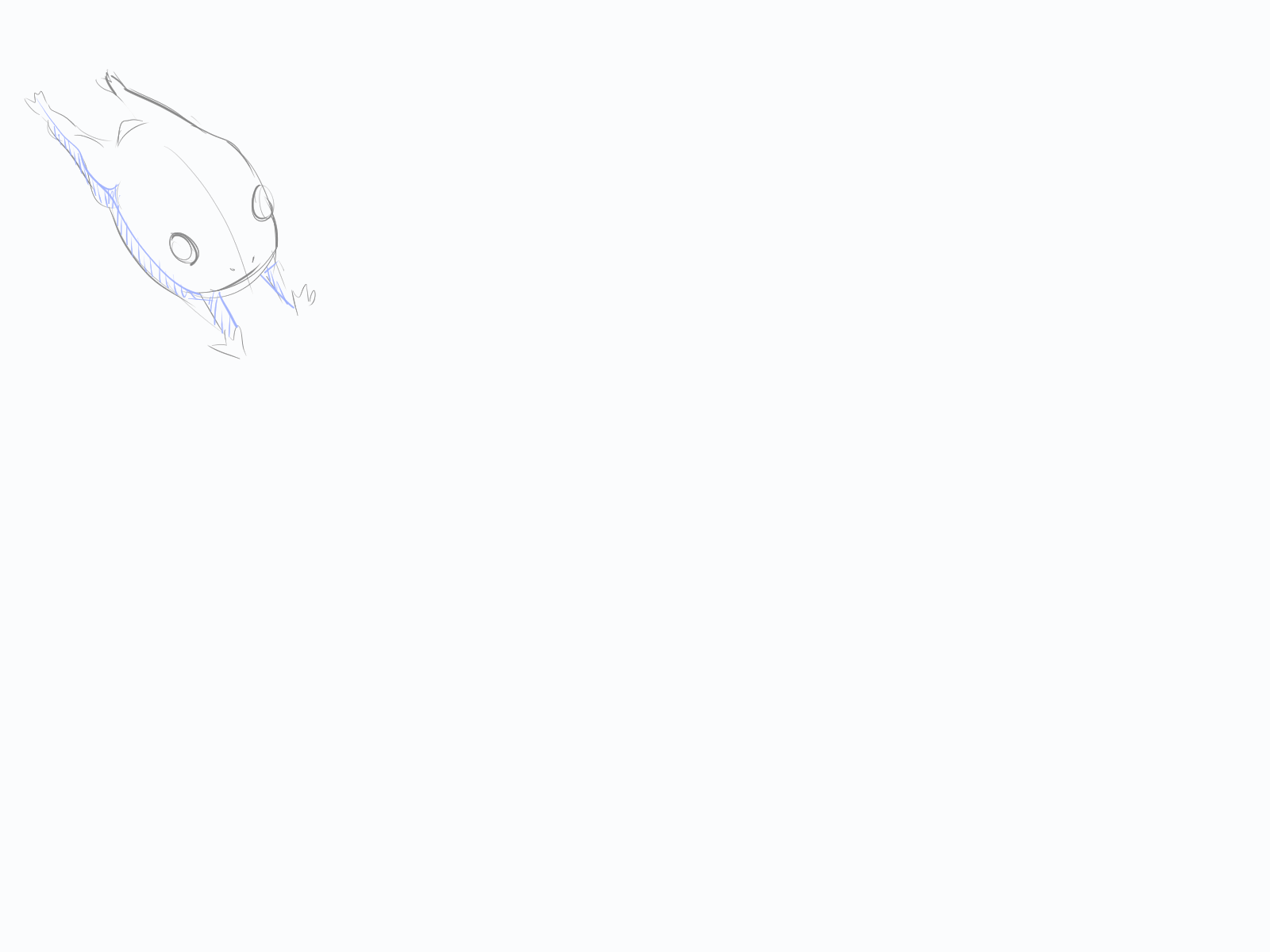 Frog Animation Sketch animation cell animation clip studio frame by frame
