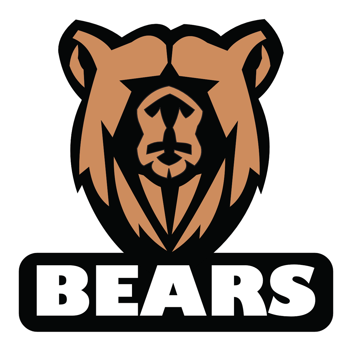 Bears Logo by Veronica Saldaña on Dribbble