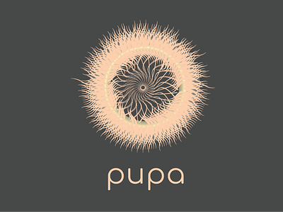 Pupa- Brand Manual app branding cuccoon design education graphic design illustration illustrator logo pupa special needs education vector virtual reality vr