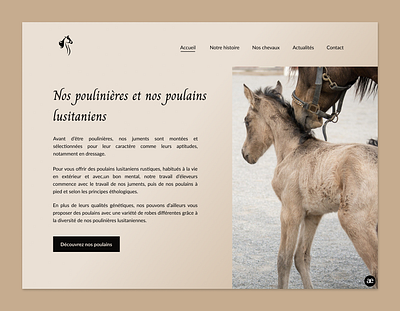 Website redesign for a Lusitano Horse Breeder - Part 3 design figma homepage horse horse breeder horse breeding horses lusitano redesign ui ui design ux ux design ux ui web web design webdesign website