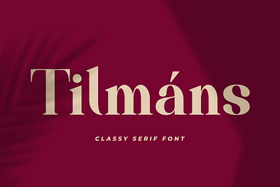 Tilmáns Modern Serif font serif seriffont typeface typography