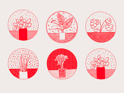 House of plants houseplants illustration monochrome plants