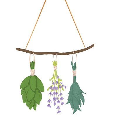 Drying Herbs basil basil leaves drying herbs flower food herb food herbs green greens herbs illustration lavander lavender lavender flower plant plants