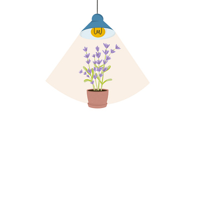 Give the plants some light! color colors flower flower in pot flowers herb herbal illustration lamp lavander lavender light light for plants plant plant illustration plant light plant pot plants plants light pot