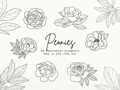 Peonies Clip Art Set flower svg peonies clip art peonies svg