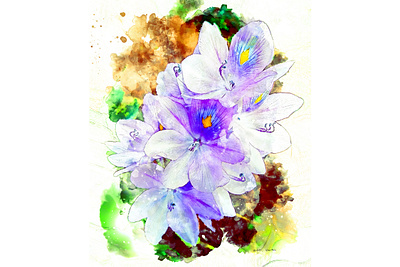 Water Hyacinth digital painting illustration photoshop