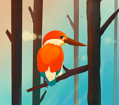 bird design illustration