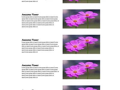 Responsive Website Design ahmedrahat branding chartjs css design designerrockstar express graphic design html javascript laravel php react responsive tender ui upwork ux