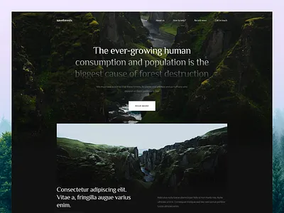Save Forests - Landing Page Concept branding design colors concept design figma forest green hero landing landingpage minimal nature trees ui web website