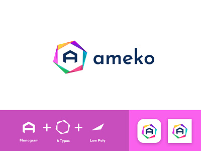 Ameko: Logo Design brand design brand identity branding design graphic design identity logo low poly school vector vector design