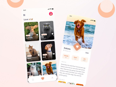 LuckyPet E-Commerce Mobile App - More Edits animation app branding cat clean design dog ecommerce ecommerce app flat illustration illustrator minimal mobile mobile app mobile app design modern ui ux video