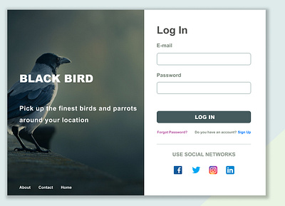 Black Bird Login Page design login page