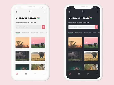 Discover Kenya Homepage Light & Dark Mode Designs africa architecture dark mode discover kenya flutter home homepage kenya mobile nairobi photo photography pictures search travel wildlife
