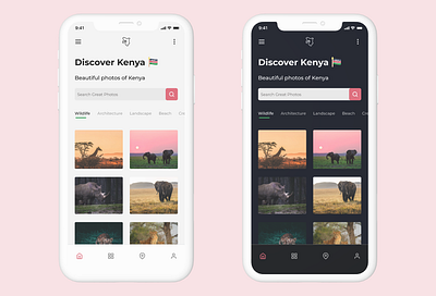 Discover Kenya Homepage Light & Dark Mode Designs africa architecture dark mode discover kenya flutter home homepage kenya mobile nairobi photo photography pictures search travel wildlife