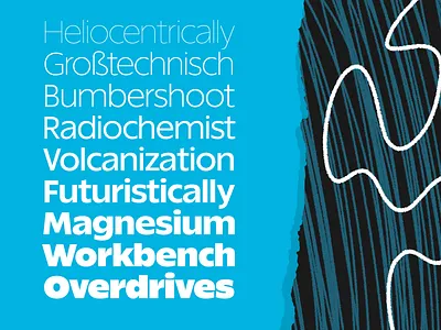 Really Sans font fonts optical size sans serif typeface